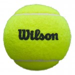 Wilson Padel Premier 3 Pote de Bolas