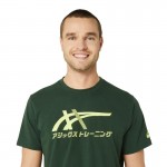 Camiseta Asics Tiger Green Forest Amarelo