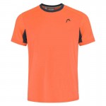 Camiseta Fatia de Cabeca Flamingo Laranja